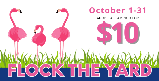 Website Event Page (640 × 327 px) (15)