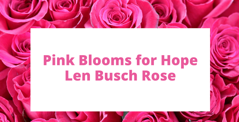 Website Event Page (640 × 327 px) (39)