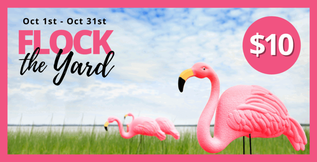 Website Event Page (640 × 327 px) (72)