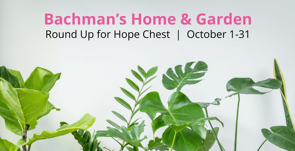 Website Event Page (640 × 327 px) (7)